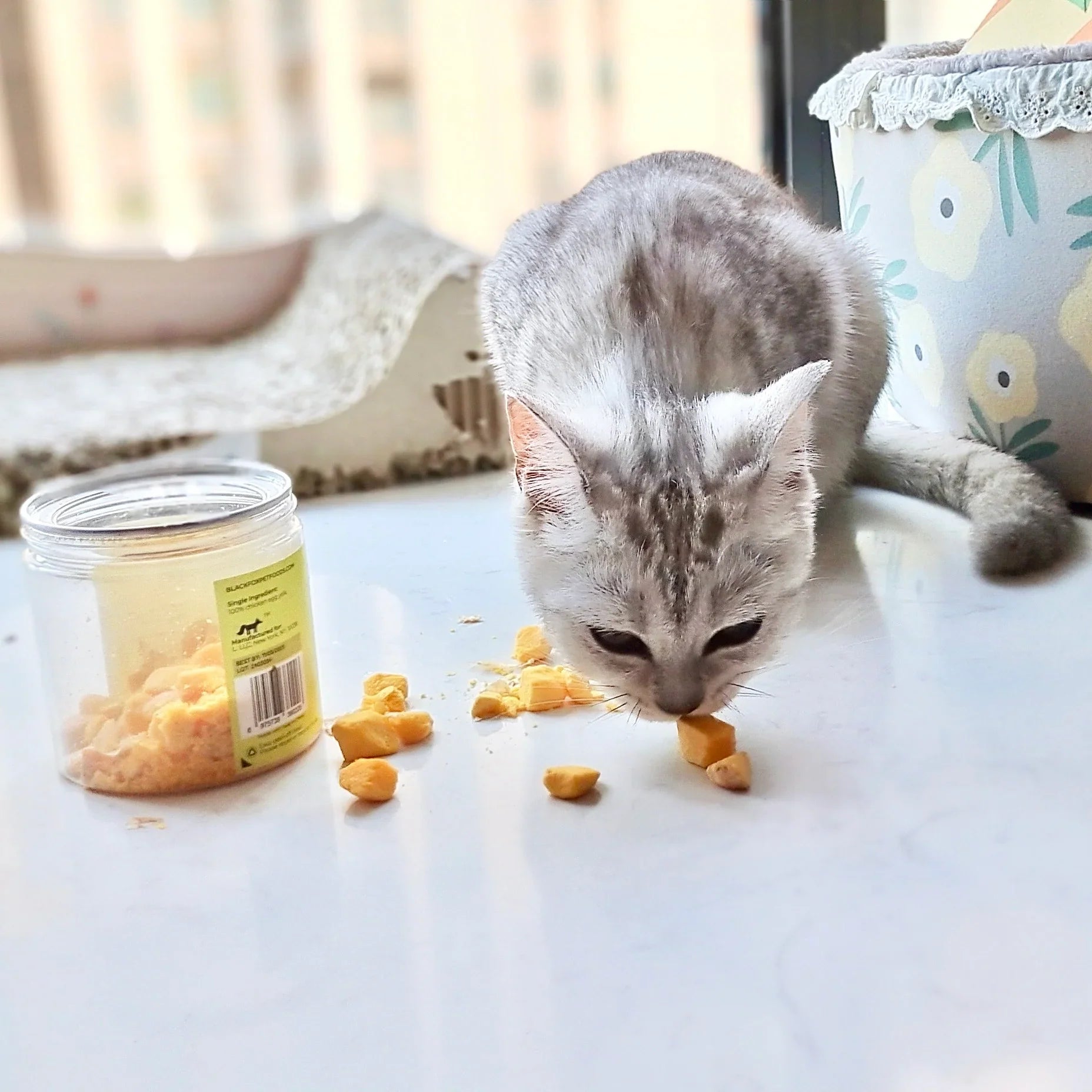 Cat treats