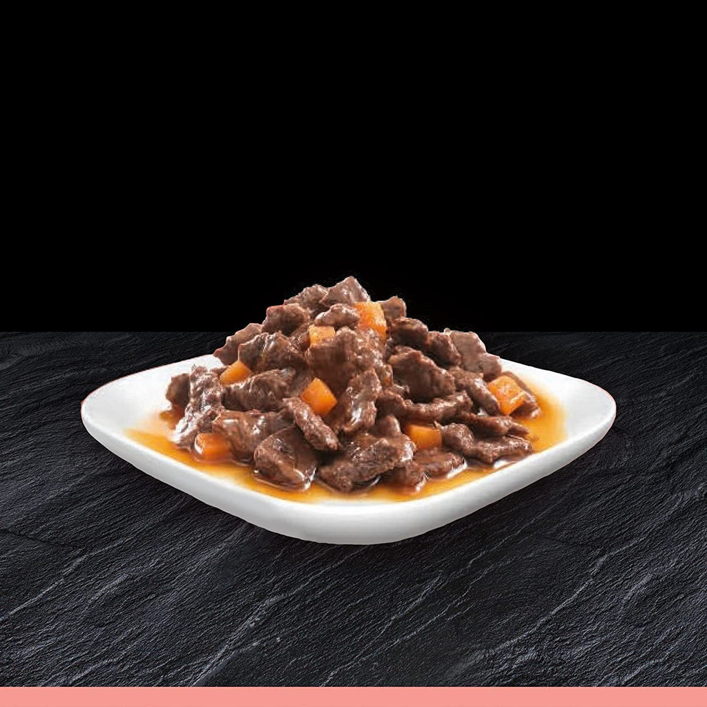 CESAR Deliciously Fresh Dog Pouches Favourites in Sauce