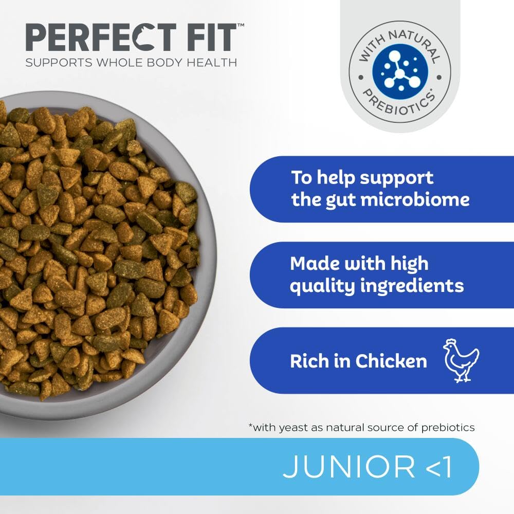 Junior <1 Complete Dry Cat Food for Junior Cats Under 1 Year