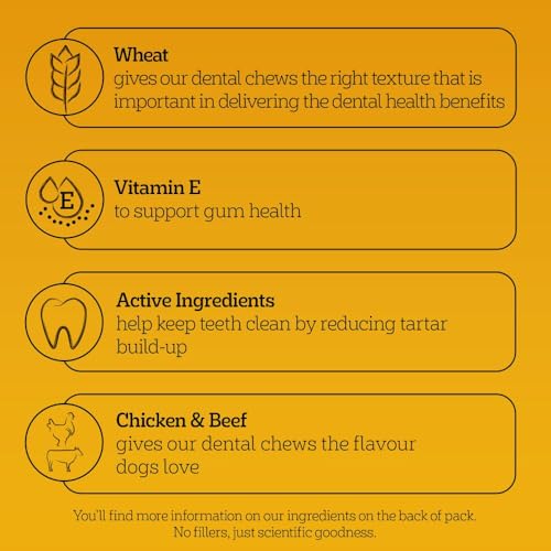 Pedigree DentaStix - Daily Dental chews for medium Dogs (10-25 kg), 28 Pedigree Dentastix sticks (Pack of 4)
