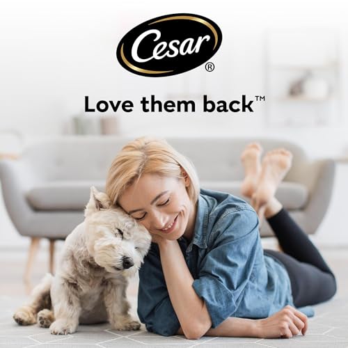 CESAR Deliciously Fresh Dog Pouches Favourites in Sauce