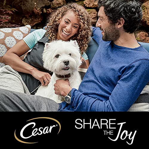CESAR Senior 10+ Deliciously Fresh Wet Dog Food Pouches Aged Dogs, Mixed Selection in Jelly, Suitable for Senior Dogs Aged 10+