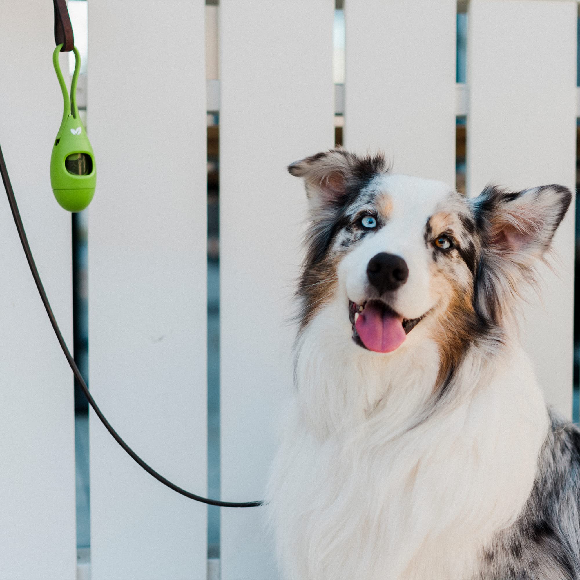 Earth Rated Dog Poo Bag Holder with Dog Poo Bags Rolls