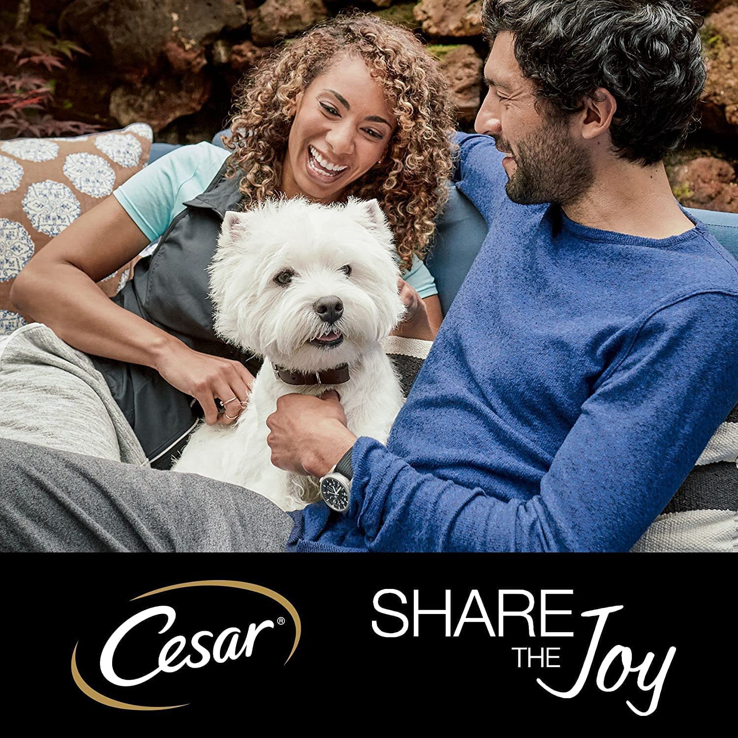 CESAR Deliciously Fresh Dog Pouches Favourites in Sauce