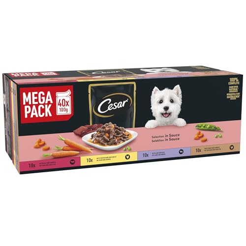 CESAR Deliciously Fresh Dog Pouches Favourites in Sauce