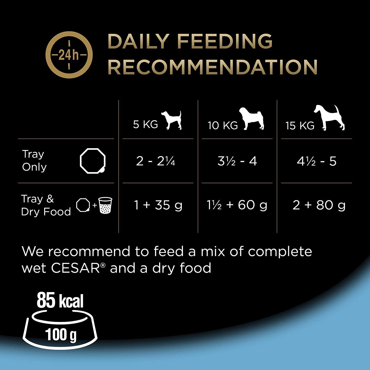 CESAR Senior 10+ Deliciously Fresh Wet Dog Food Pouches Aged Dogs, Mixed Selection in Jelly, Suitable for Senior Dogs Aged 10+