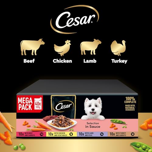 CESAR Deliciously Fresh Dog Pouches Favourites in Sauce