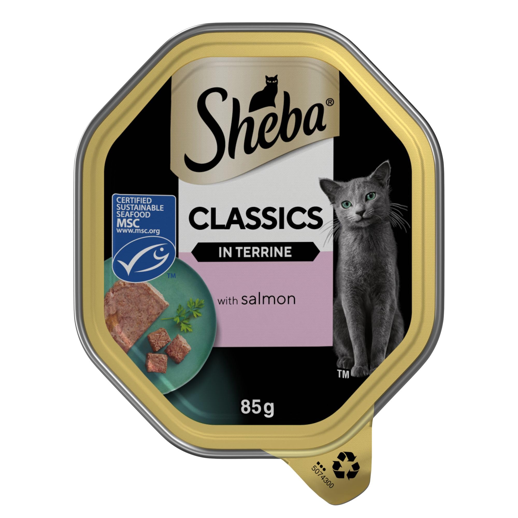 Sheba Classics Cat Food Tray with Salmon in Terrine 2x11x85g