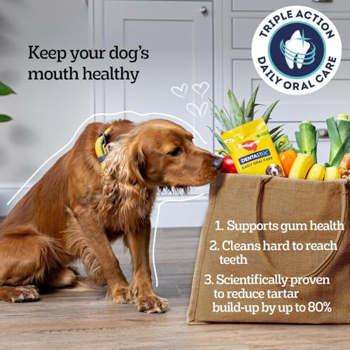 Pedigree DentaStix - Daily Dental chews for medium Dogs (10-25 kg), 28 Pedigree Dentastix sticks (Pack of 4)
