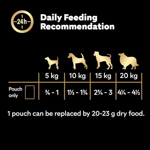 CESAR Deliciously Fresh Dog Pouches Favourites in Sauce