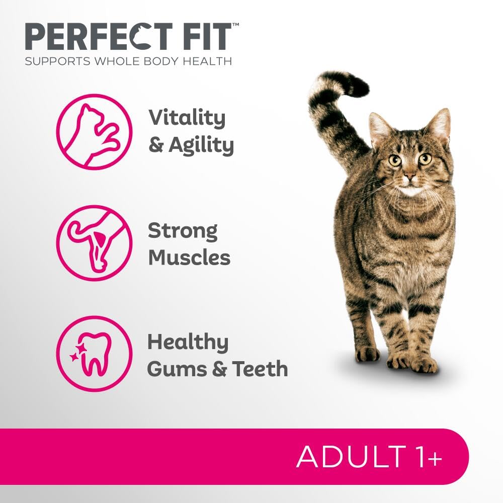 Adult 1+ Complete Dry Cat Food for Adult Cats Aged