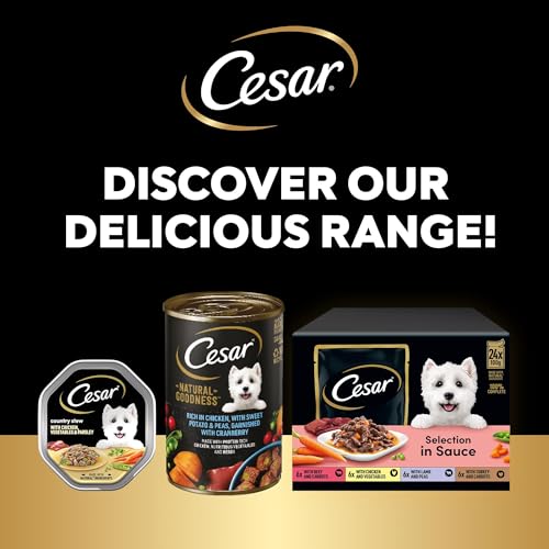 CESAR Deliciously Fresh Dog Pouches Favourites in Sauce