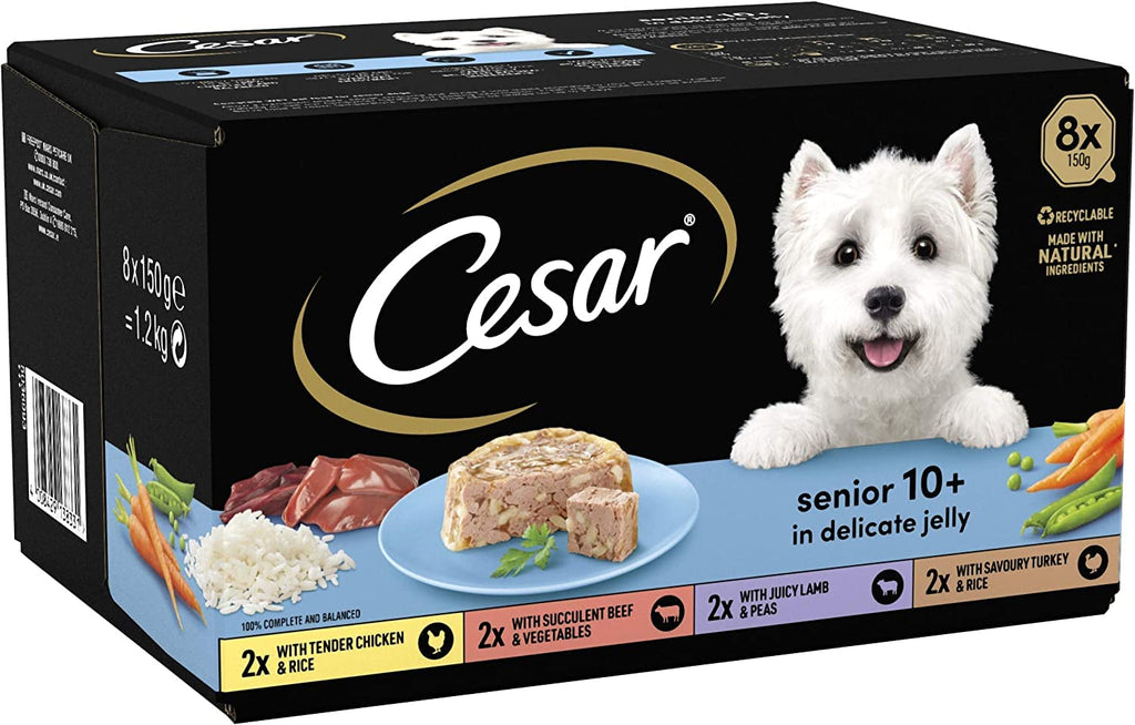 CESAR Senior 10+ Deliciously Fresh Wet Dog Food Pouches Aged Dogs, Mixed Selection in Jelly, Suitable for Senior Dogs Aged 10+