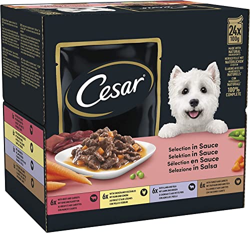 CESAR Senior 10+ Deliciously Fresh Wet Dog Food Pouches Aged Dogs, Mixed Selection in Jelly, Suitable for Senior Dogs Aged 10+