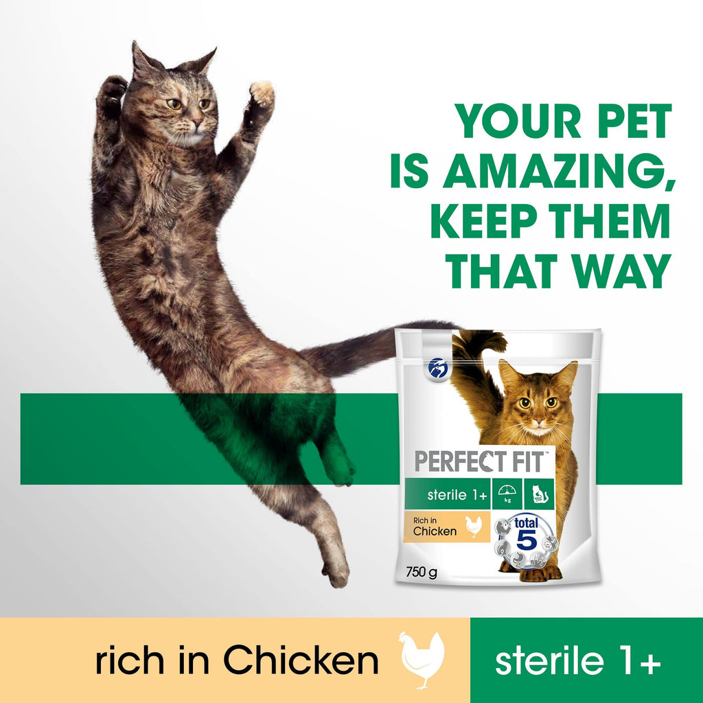 Sensitive Adult 1+ Complete Dry Cat Food for Adult Cats Aged