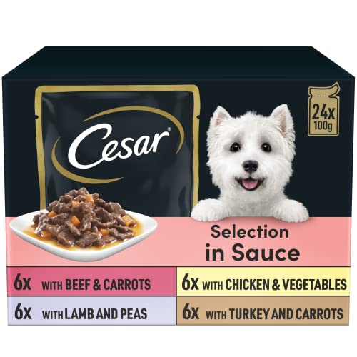 CESAR Senior 10+ Deliciously Fresh Wet Dog Food Pouches Aged Dogs, Mixed Selection in Jelly, Suitable for Senior Dogs Aged 10+