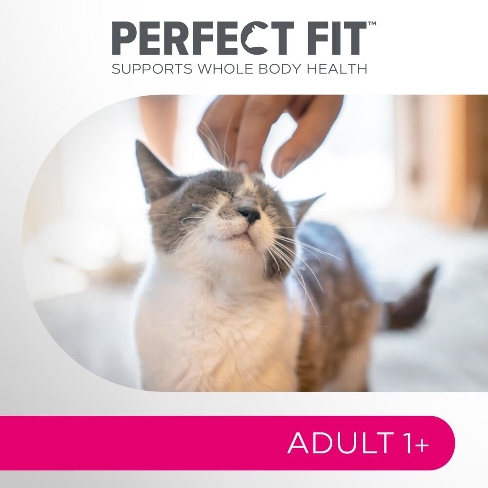 Adult 1+ Complete Dry Cat Food for Adult Cats Aged