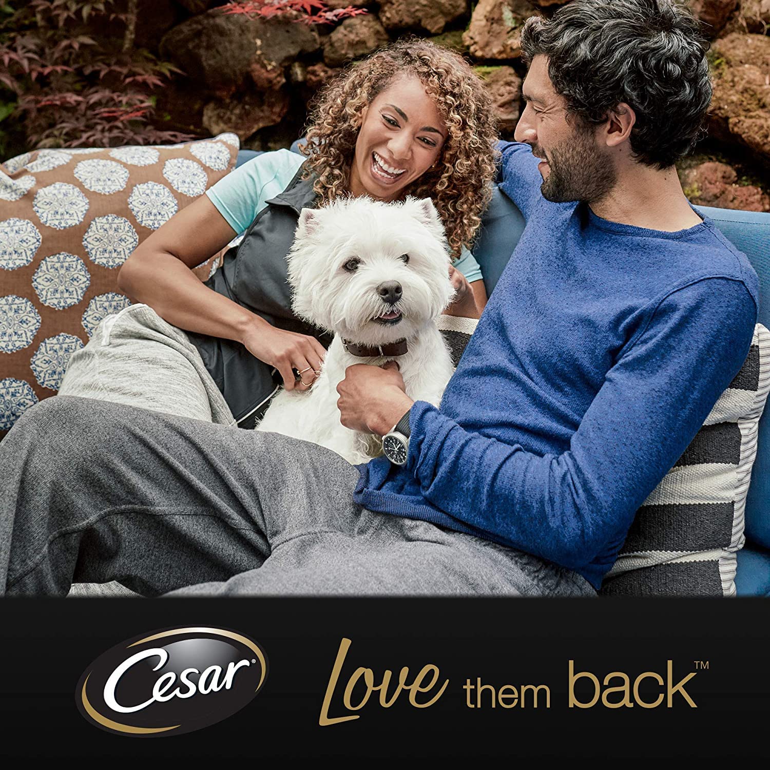 CESAR Senior 10+ Deliciously Fresh Wet Dog Food Pouches Aged Dogs, Mixed Selection in Jelly, Suitable for Senior Dogs Aged 10+