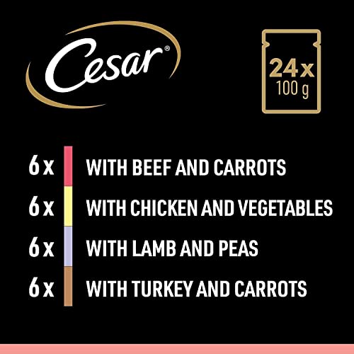 CESAR Senior 10+ Deliciously Fresh Wet Dog Food Pouches Aged Dogs, Mixed Selection in Jelly, Suitable for Senior Dogs Aged 10+