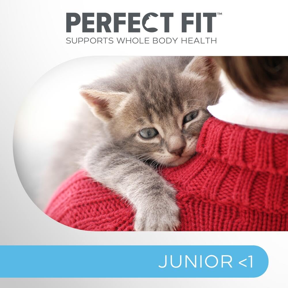 Junior <1 Complete Dry Cat Food for Junior Cats Under 1 Year