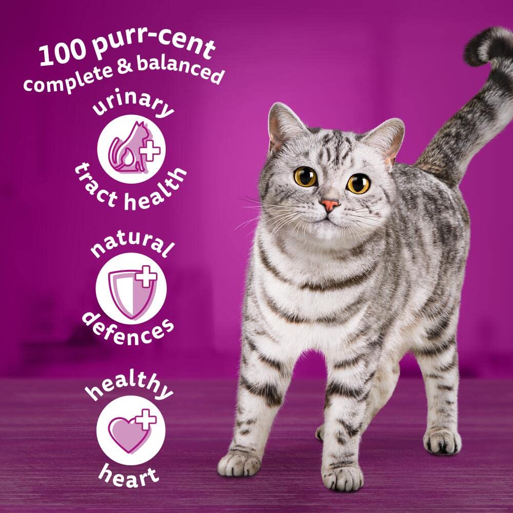 Whiskas 7+ Senior Chicken 4 x 1.9 kg Bags