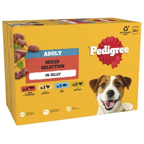 PEDIGREE Adult Dog Food Pouches Mixed Selection in Jelly 4 x 12 x 100 g