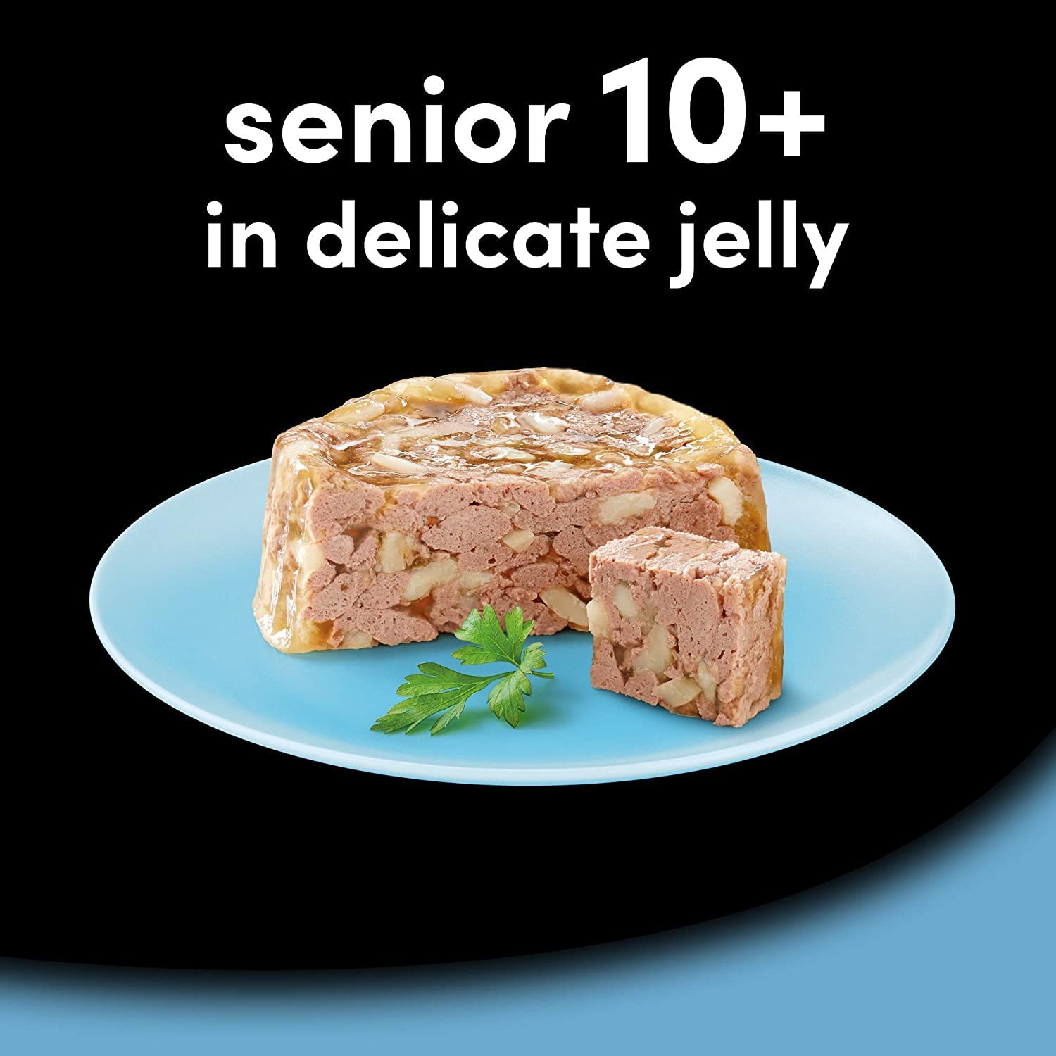 CESAR Senior 10+ Deliciously Fresh Wet Dog Food Pouches Aged Dogs, Mixed Selection in Jelly, Suitable for Senior Dogs Aged 10+