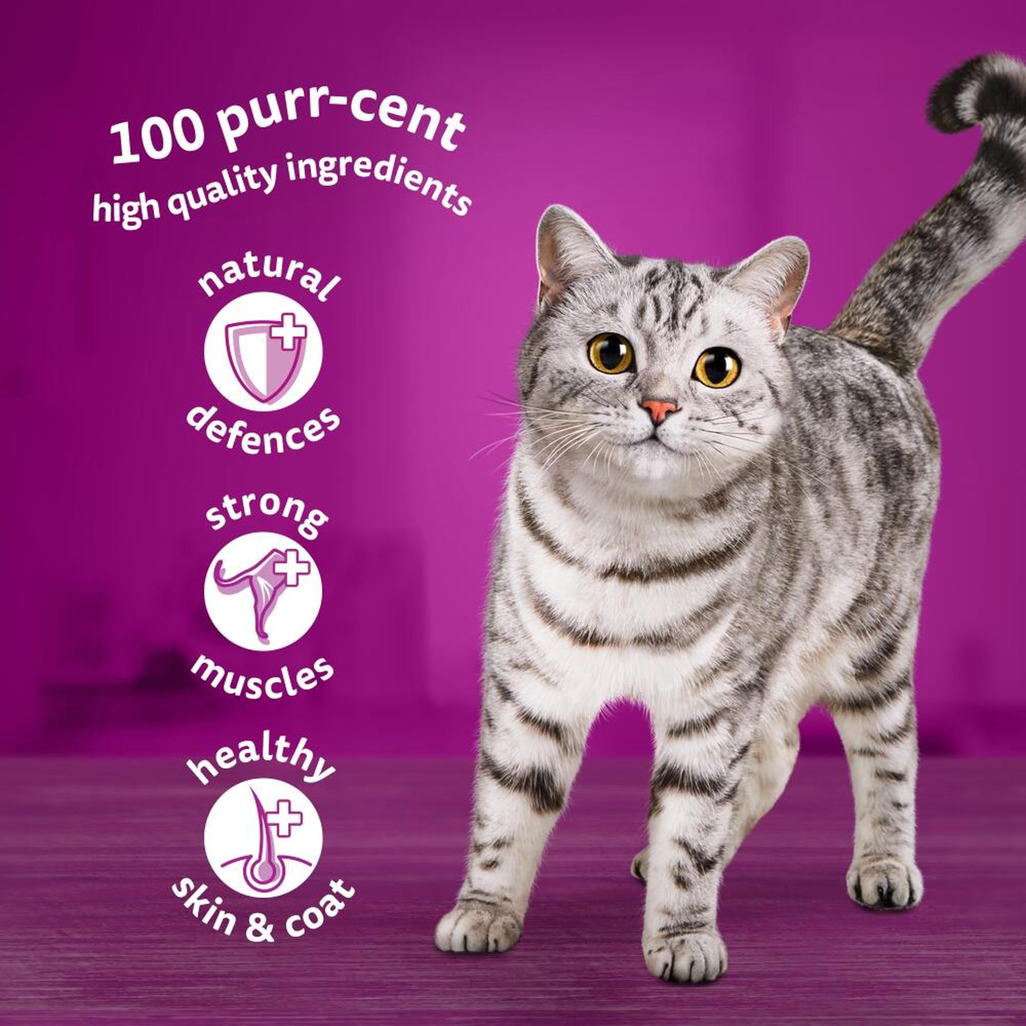 Whiskas 1+ Wet Cat Food for Adult Cats Poultry Selection in Jelly