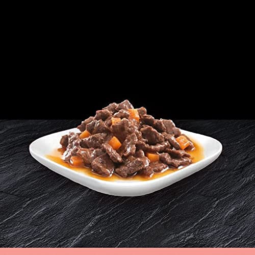 CESAR Senior 10+ Deliciously Fresh Wet Dog Food Pouches Aged Dogs, Mixed Selection in Jelly, Suitable for Senior Dogs Aged 10+