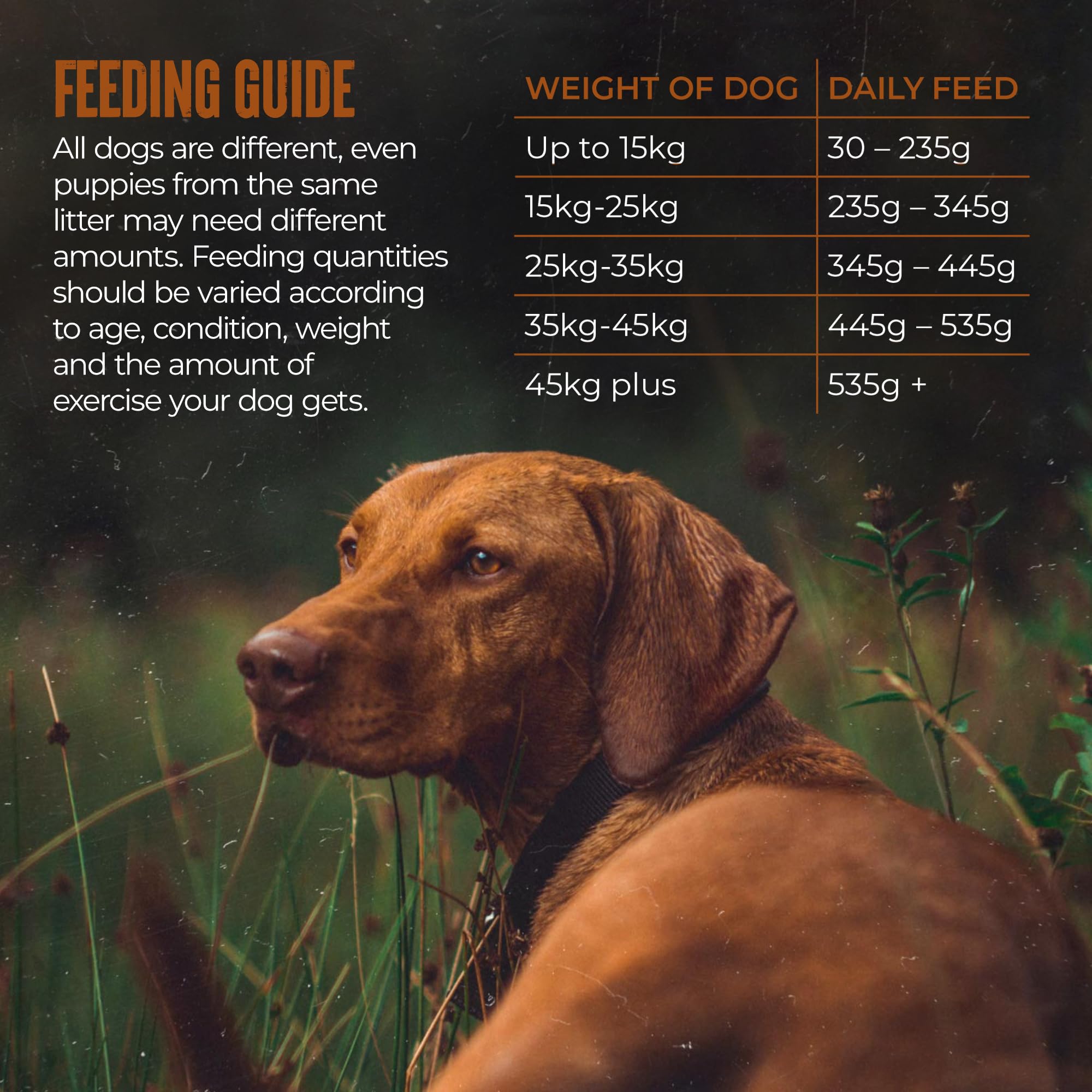 Alpha Sensitive Hypoallergenic Dry Dog Food | Complete Nutrition for Dietary Sensitivities | Chicken & Rice, 15kg