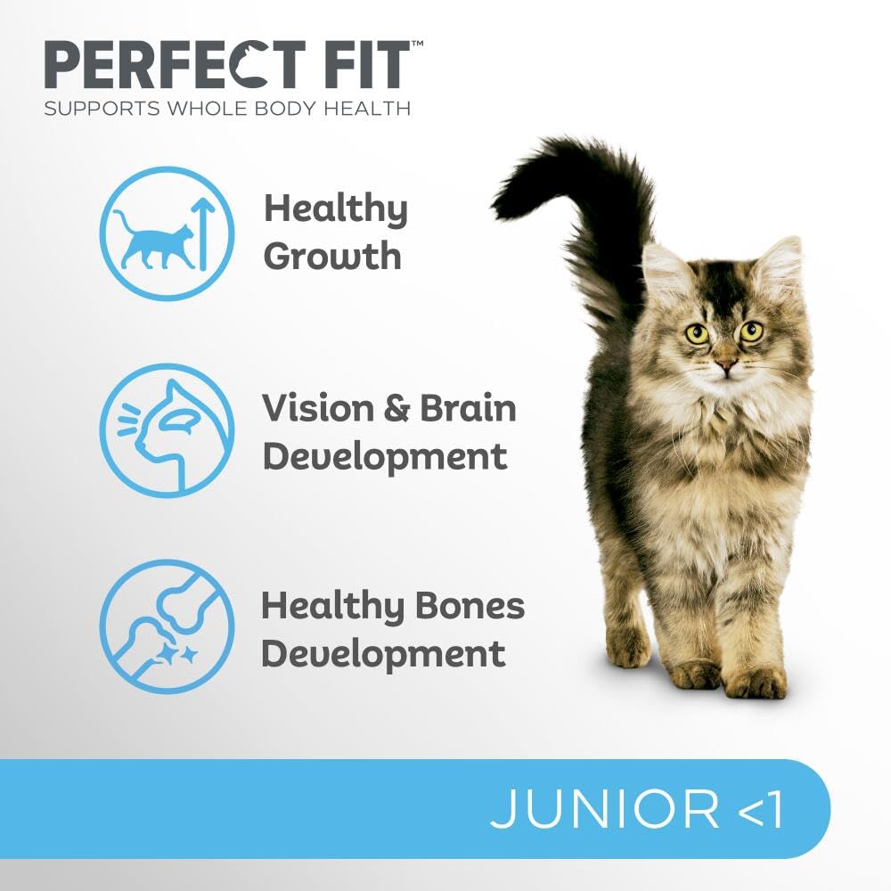 Junior <1 Complete Dry Cat Food for Junior Cats Under 1 Year